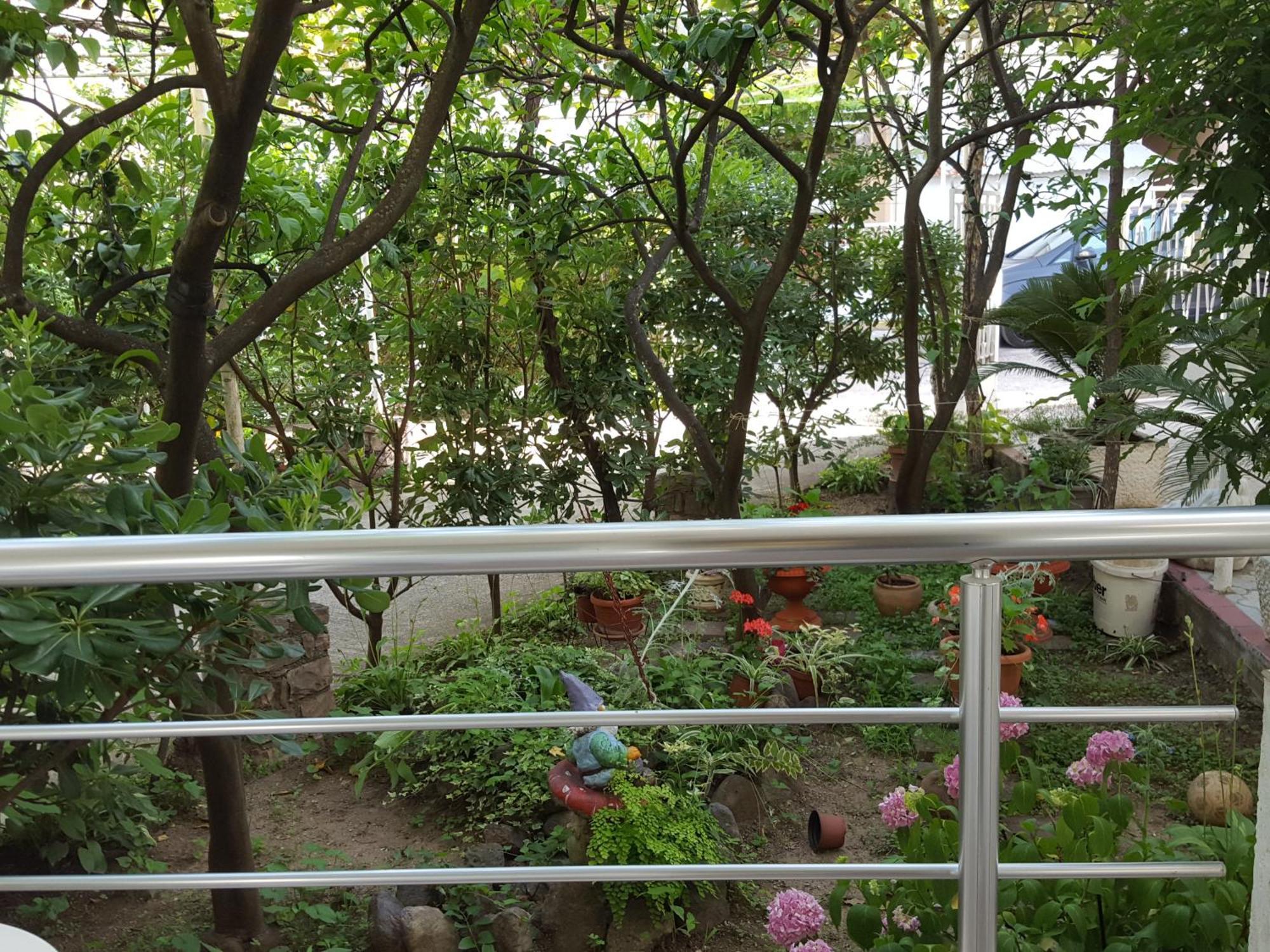 Apartmani Bonik ブドヴァ エクステリア 写真
